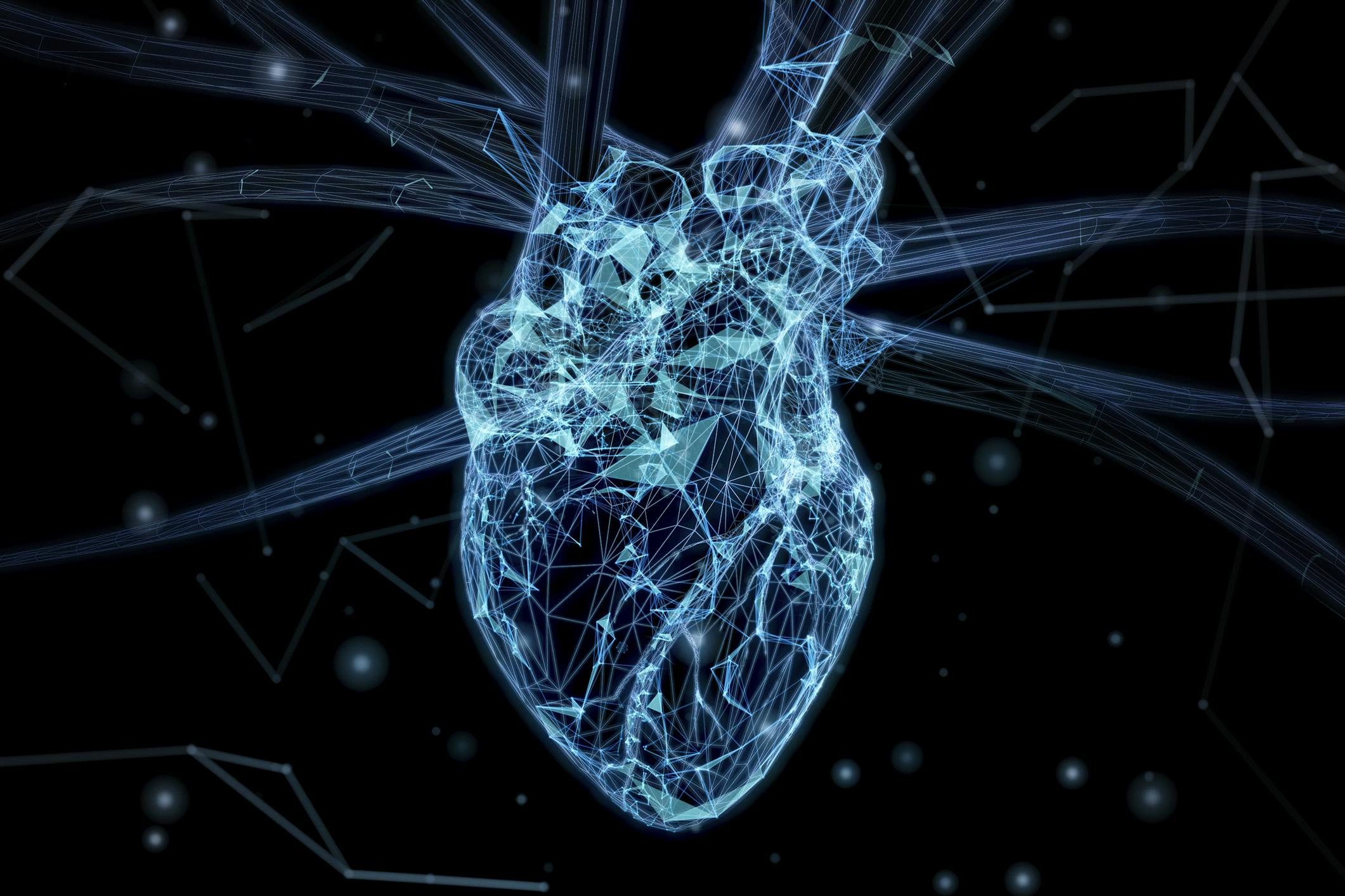 Stylised image of a human heart